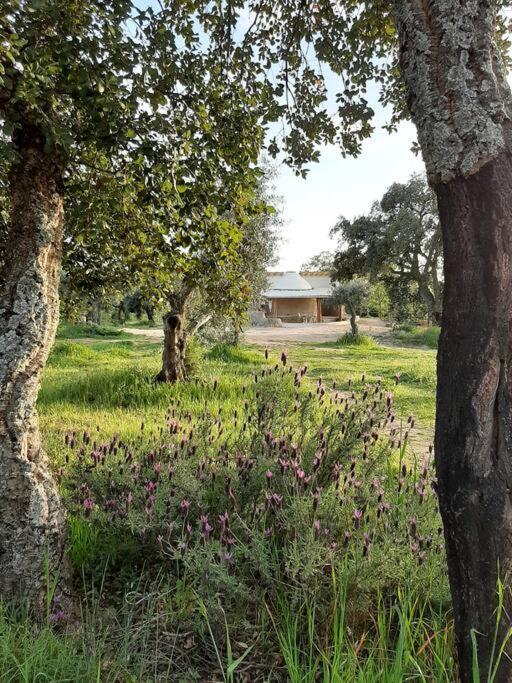 Quinta Terramadome: Dome Incomum & Responsavel Villa Penamacor Exterior photo